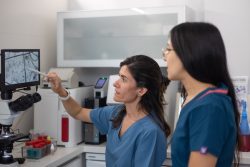 Top Rated Veterinarians In Panama City FL